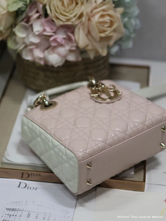 Tony Luxuries LADY DI0R-20CM 0717
